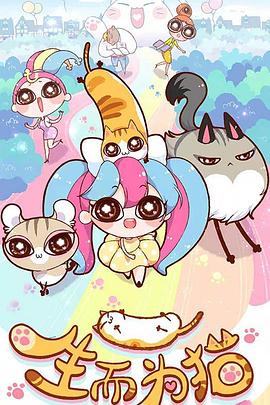 福建网站优化设计高中